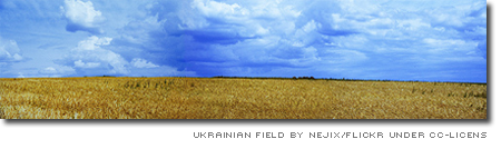 Ukrainsk vetefält
